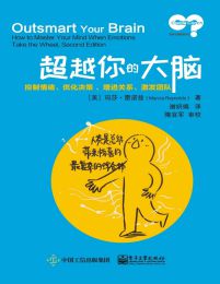 超越你的大脑：控制情绪、优化决策、增进关系、激发团队(epub+azw3+mobi)