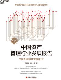 2019年中国资产管理行业发展报告：市场大动荡中的资管行业(epub+azw3+mobi)