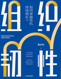 组织韧性：如何穿越危机持续增长(epub+azw3+mobi)