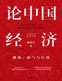 论中国经济：挑战、底气与后劲(epub+azw3+mobi)