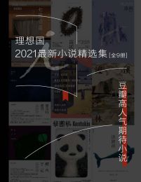 理想国2021最新小说精选集（全9册）(epub+azw3+mobi)