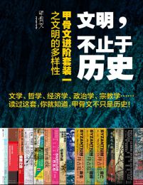 文明，不止于历史:甲骨文进阶套装一之文明的多样性（全16册）(epub+azw3+mobi)