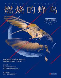 燃烧的蜂鸟(epub+azw3+mobi)