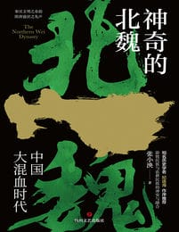 神奇的北魏(epub+azw3+mobi)